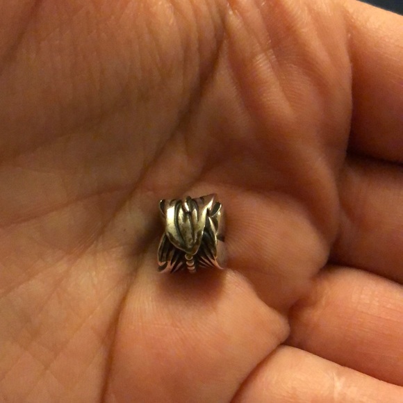 Pandora Jewelry - Pandora charm Pandora Jewelry - Pandora charm